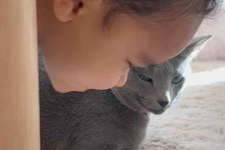Khloé Kardashian partage une jolie vidéo de son fils Tatum en train de créer des liens avec son ami à quatre pattes : « Le chat le plus patient de tous les temps »