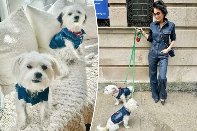 Bethenny Frankel se coordonne avec ses chiens dans des tenues en jean – et un sac à main Chanel assorti de 10 000 $